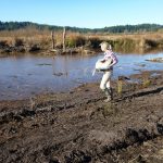 Kristine Krynitzki seeds the newly created wetland she and her team restored at Manley Farm Bird and Wildlife Sanctuary